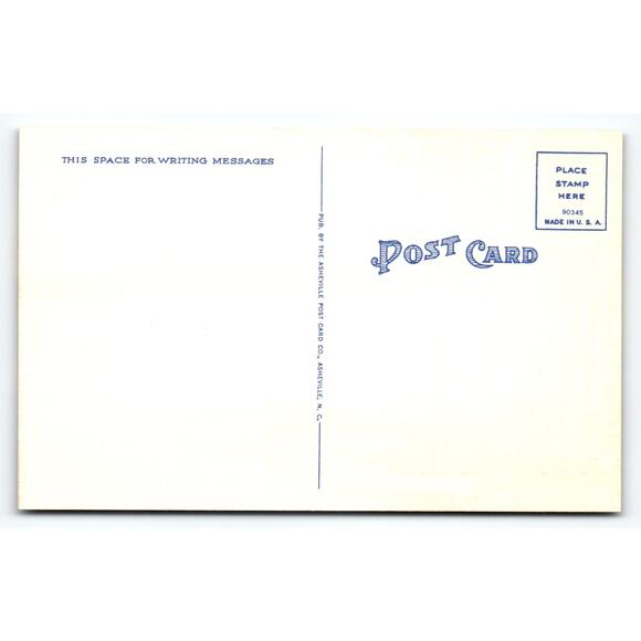 Vintage Linen Deer Lake Scenic Postcard Asheville NC 1930s-40s - Picture 2 of 2